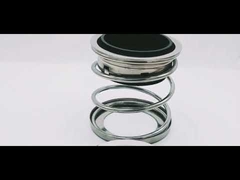 Sigillo meccanico di tipo 2 per pozzi di pompa