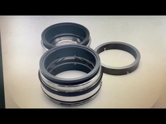 GLRD FDS2 BCH-045 SIC-SIC-HNBR/C-TC-HNBR Per Fristam Fds pompa a doppia vite